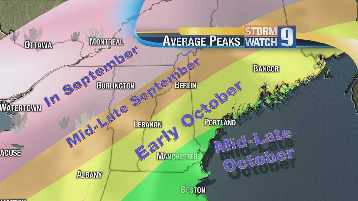 Fall foliage report