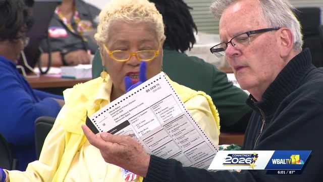 Baltimore County election canvass draws crowds as officials tally 40K mail-in ballots