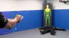 Naples Police new Tasers