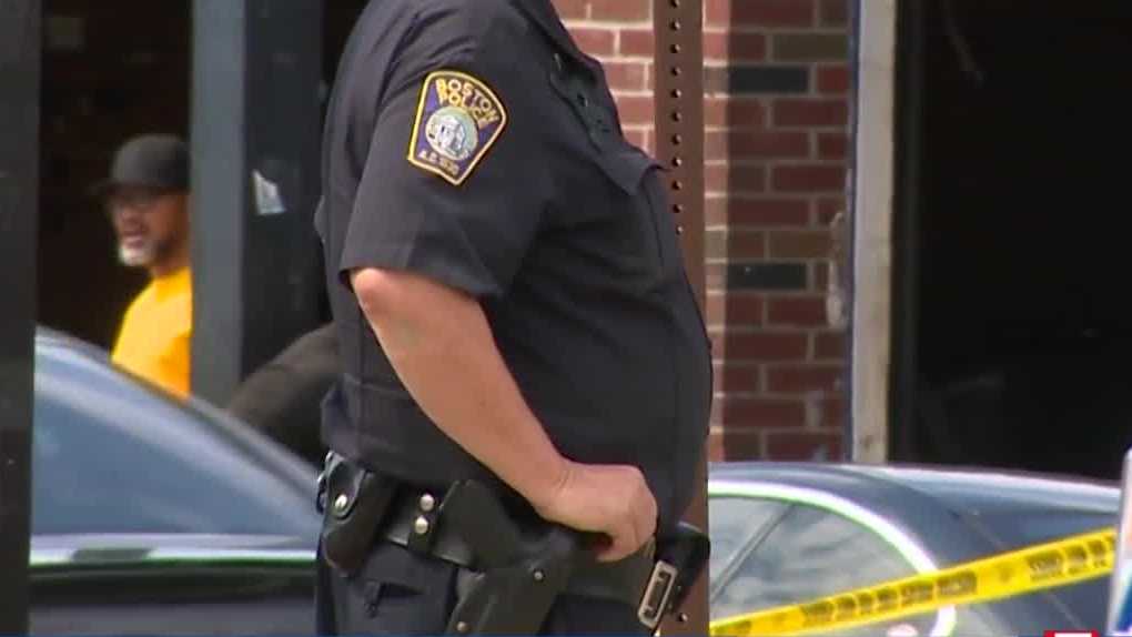 Peace Officers Standards and Training Commission disciplinary