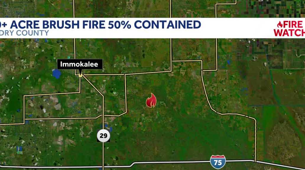 Hendry County brush fire near Big Cypress National Preserve grows to over 500 acres; 50% contained