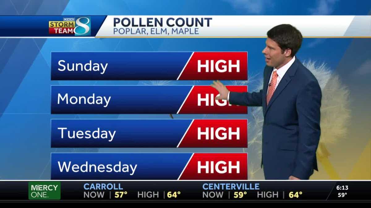 High pollen count this week