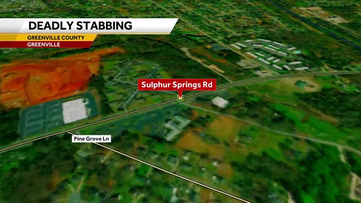 Deadly stabbing in Greenville County