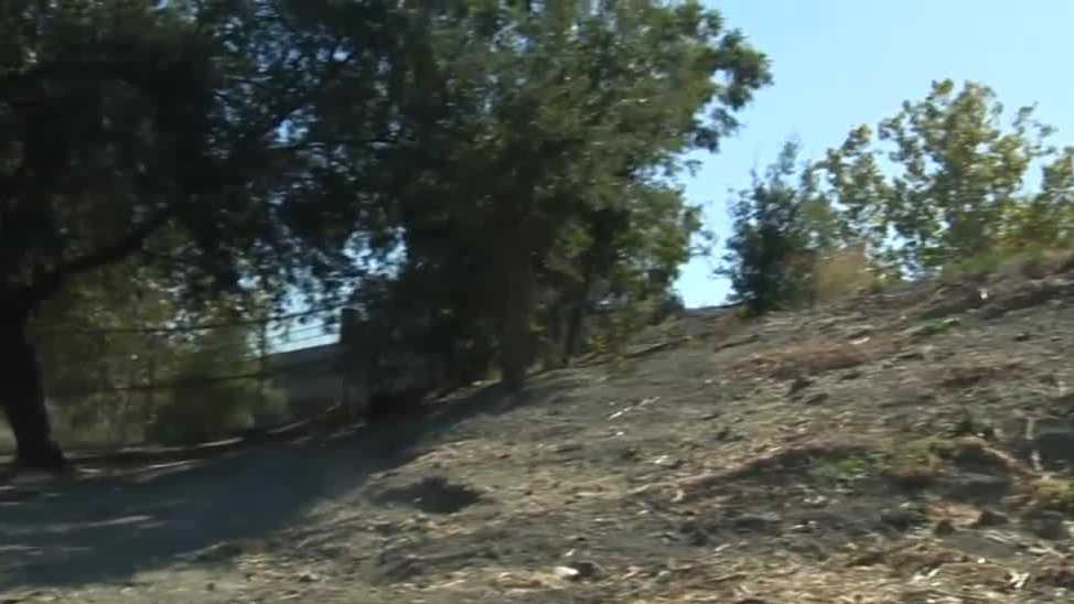 Man killed after hit by West Sacramento fire engine is identified - KCRA