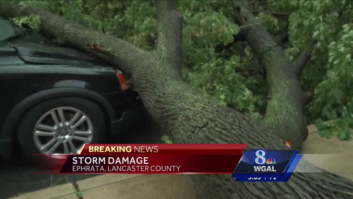 Tree lands on car in Ephrata