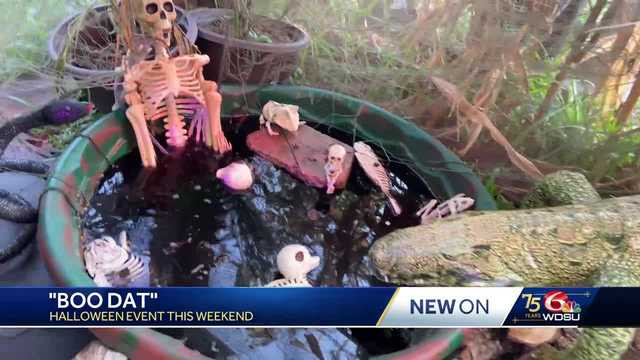 'Boo Dat' Halloween festival promotes giving back - Vimarsana News