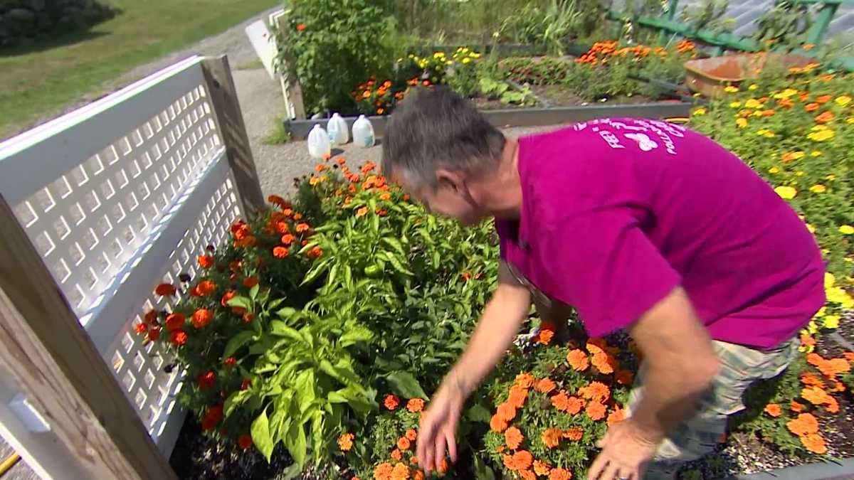 Gardening builds a community in Mass.