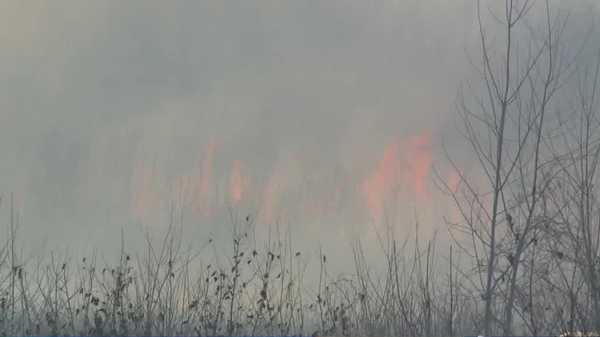 crews on scene of large grass fire in southeast polk county