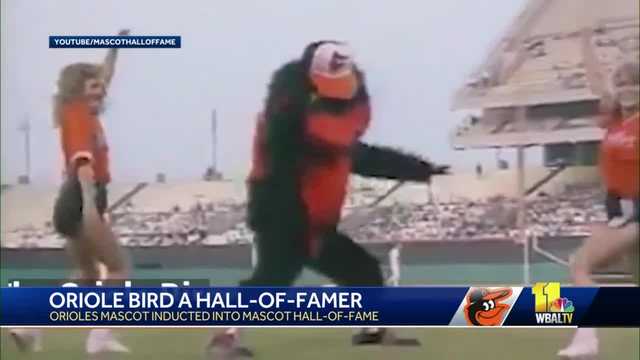 Oriole Bird inducted into National Mascot Hall of Fame