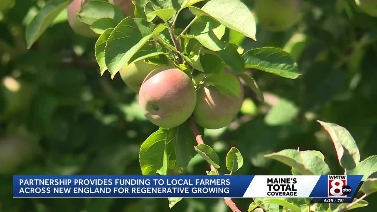 wmtw.com - Hannaford partners with Wolfe's Neck to invest in local farms