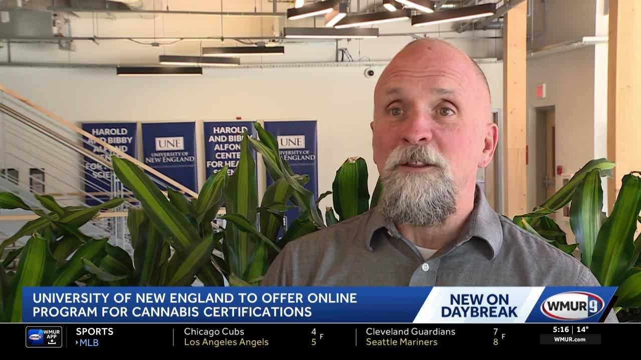 wmur.com - Lauren Blois - UNE to launch online program for cannabis certifications