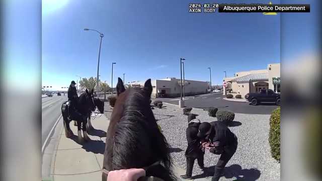 Shoplifter chased by police on horses in New Mexico, video shows