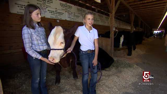 Brush up on bovine vocabulary and enjoy a front-seat at the annual skillet throw competition - Vimarsana News