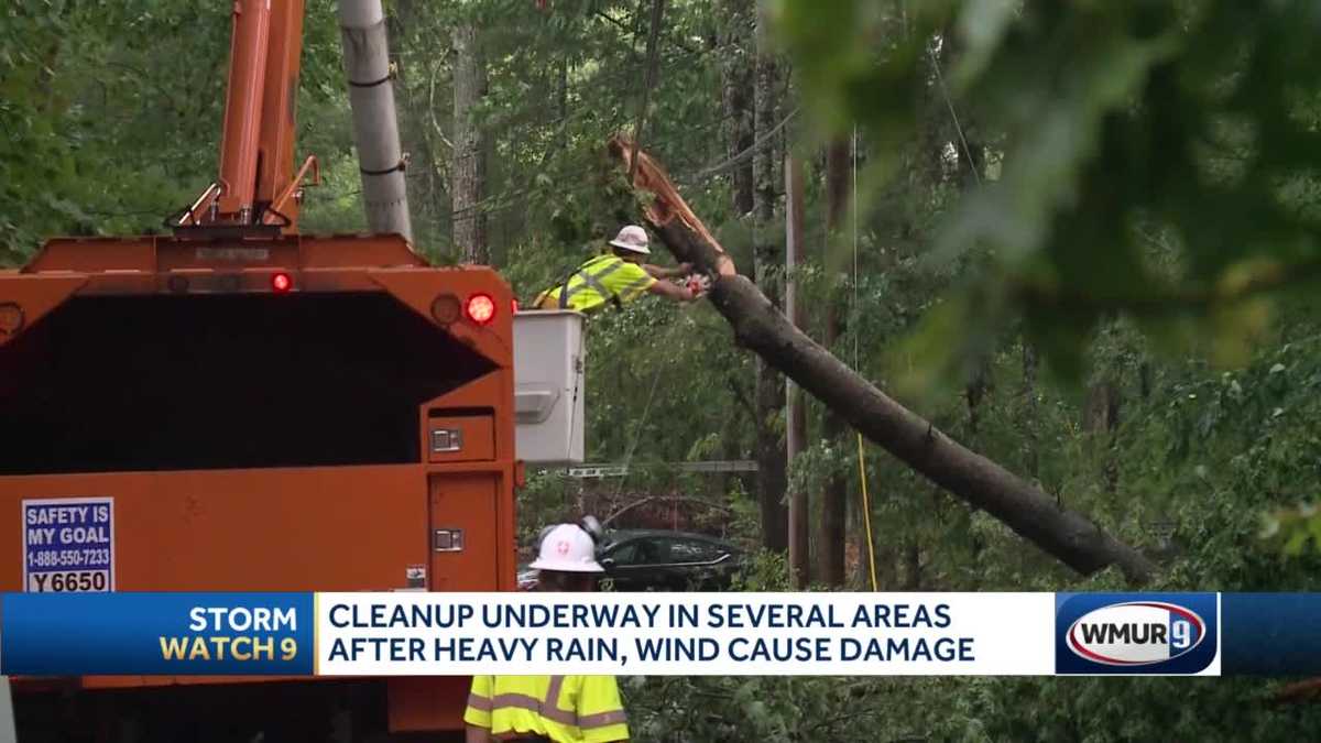 Strong storms bring down trees, power lines