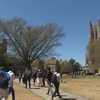 College costs top $100,000 at 15 schools as Florida public universities remain an affordable option