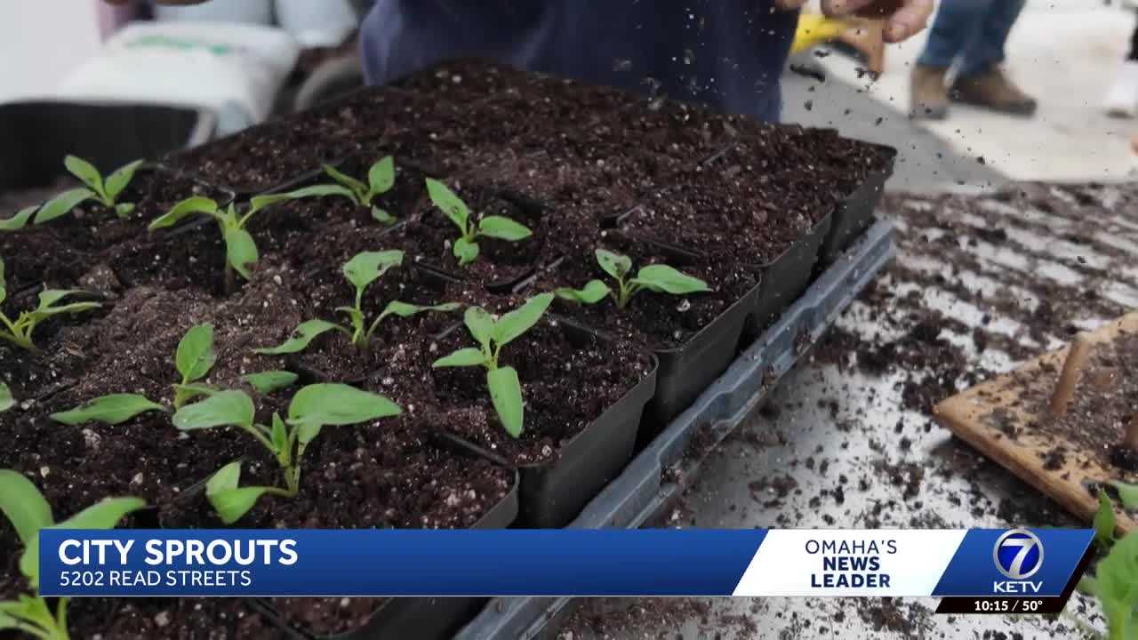 ketv.com - McKenzy Parsons - Waiting for the weather conditions': Freeze warning delays planting at north Omaha urban farm