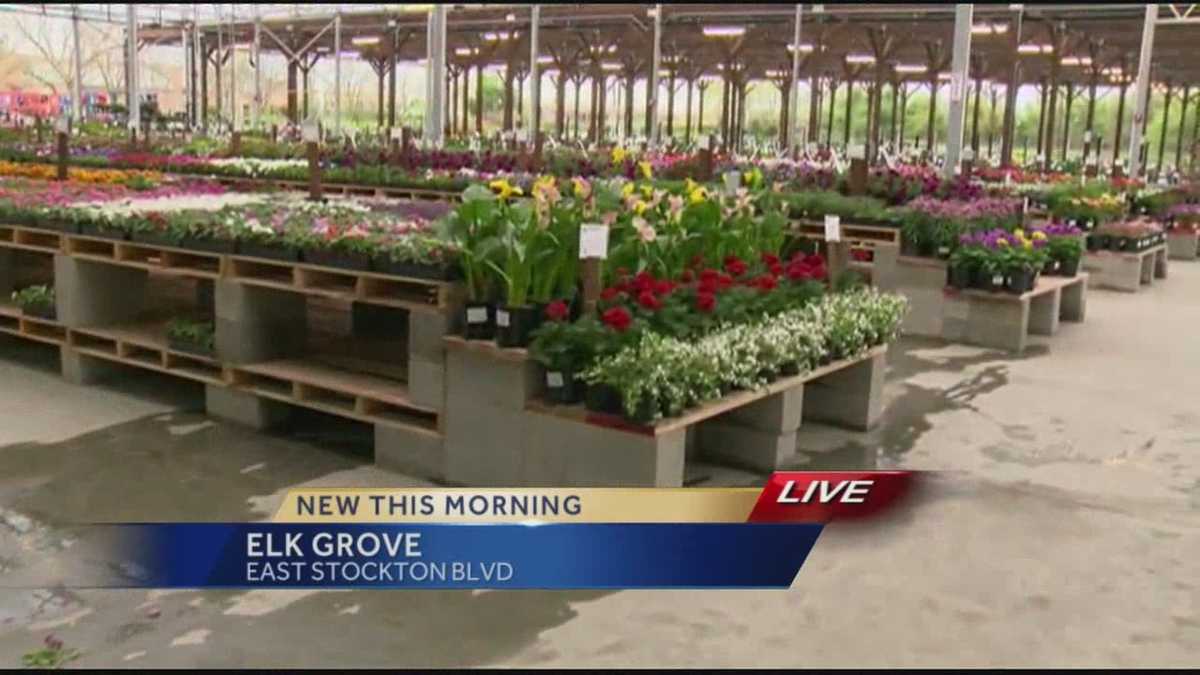 Green Acres Nursery opens ahead of schedule in Elk Grove