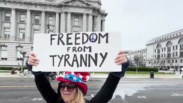 San Francisco City Hall protesters decry actions by President Trump, Elon Musk