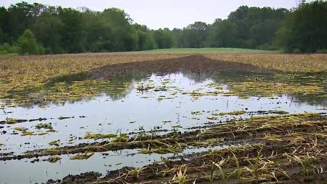 NH farmers forced to adapt amid weather extremes over growing season - Vimarsana News
