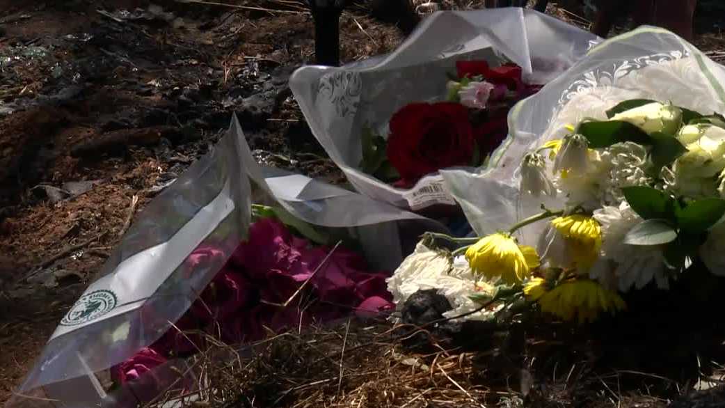 2 teenagers die, 3 others hurt after car crashes into tree in ...