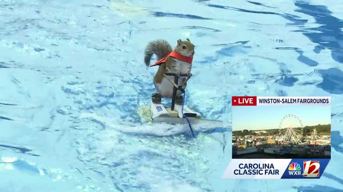 Water skiing squirrel wraps up stint at Carolina Classic Fair