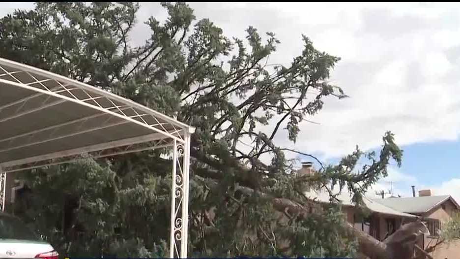 Tree falls on home after storm rips through metro - KOAT