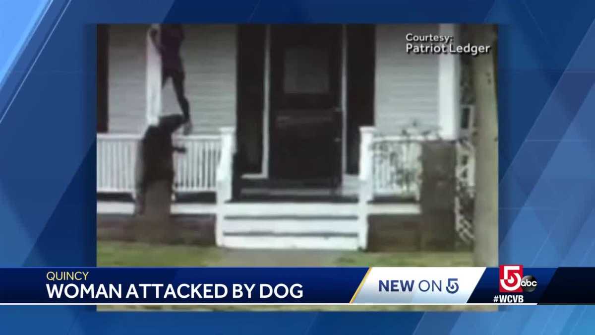 Quincy woman hospitalized after dog attack