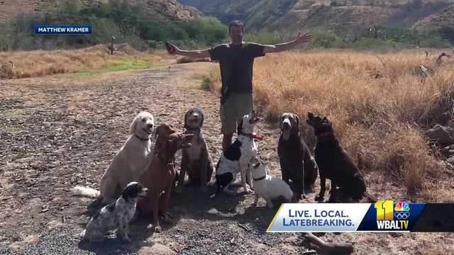 Former Maryland resident living in Maui helping homeless pets - Vimarsana News