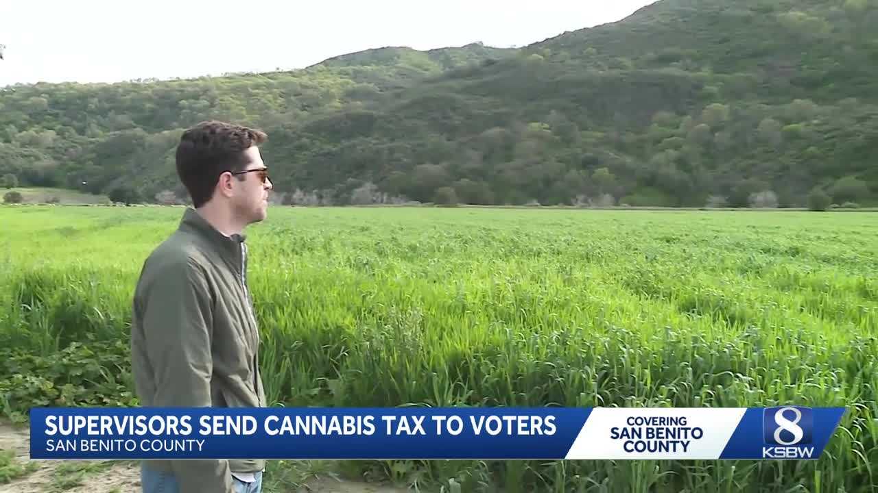 ksbw.com - Jacquelyn Quinones - San Benito County voters to decide on new cannabis tax measure