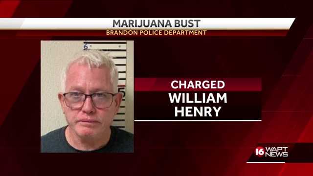 Hundreds of pounds of marijuana seized in bust in Brandon - Vimarsana News