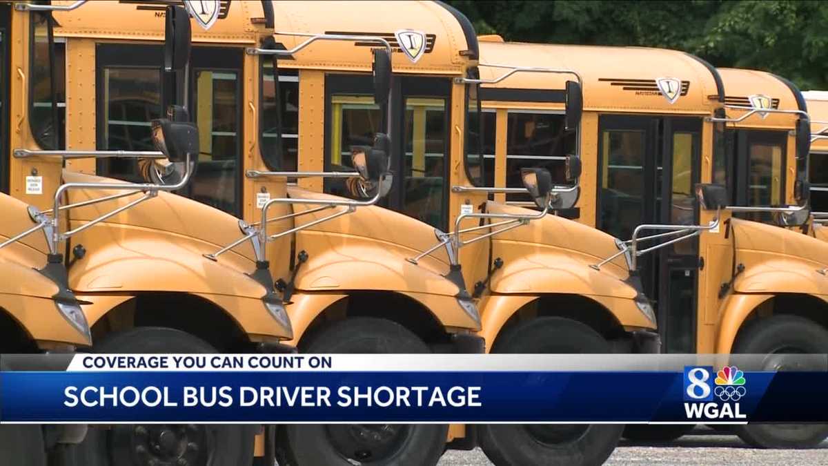 School bus driver shortage: Susquehanna Valley companies scramble to ...