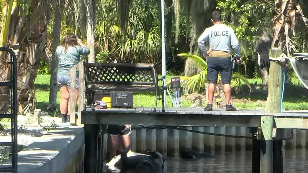 Manatee death near Fort Myers Shores adds to concern after 94 Lee County deaths this year