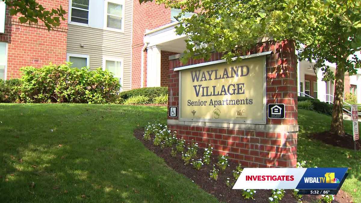 Baltimore seniors blast reinstatement of rental license at Wayland Village