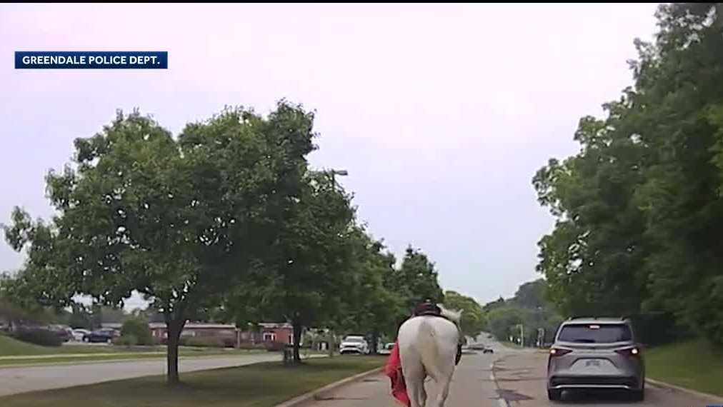 Worried horse wanders into Wisconsin streets, stops targeted traffic Worried horse wanders into Wisconsin streets, stops targeted traffic