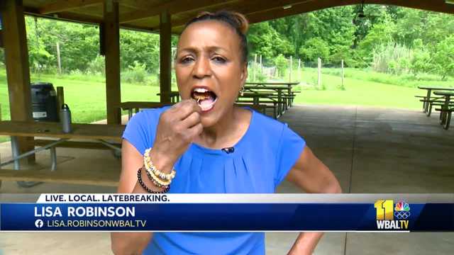 Olszewski tries fried cicada, says they taste like fried oysters - Vimarsana News