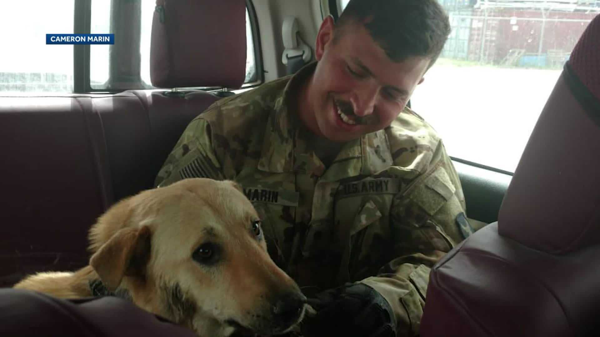 New Hampshire service member adopts dog he met in Iraq - Vimarsana News