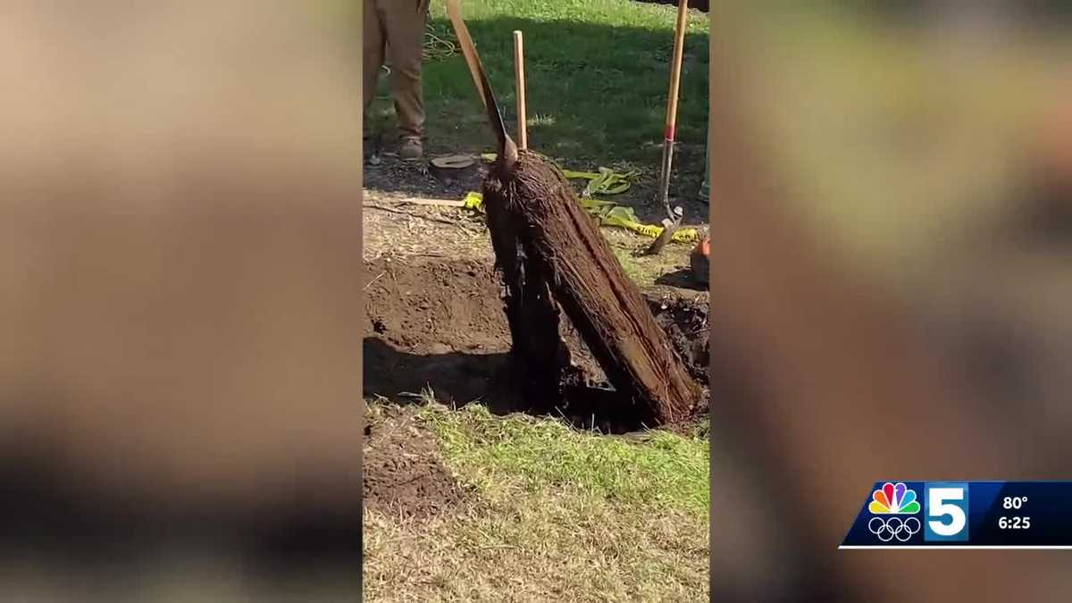 'Holy Moley': Rutland DPW going viral after pulling 100 feet of roots ...