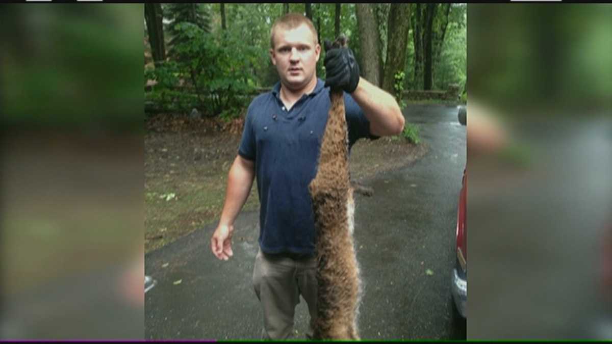 Man attacked by bobcat in home's yard