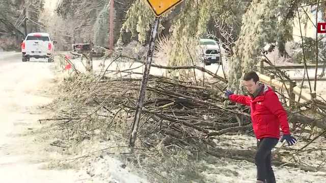 Brunswick residents describe falling trees as 'big boom' - Vimarsana News