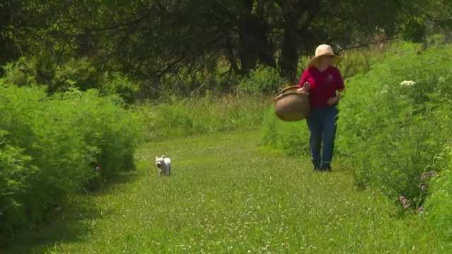 Iowa farmers prepare to see interest in fresh produce as national cyclosporiasis outbreak grows