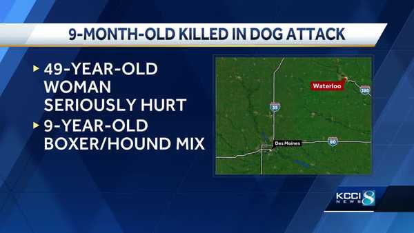 9-month-old killed in dog attack in waterloo