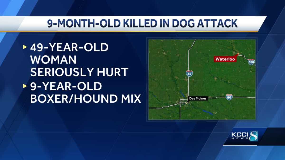 9monthold killed in Waterloo dog attack