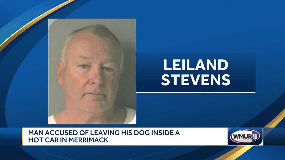 Man accused of leaving dog inside hot car in Merrimack