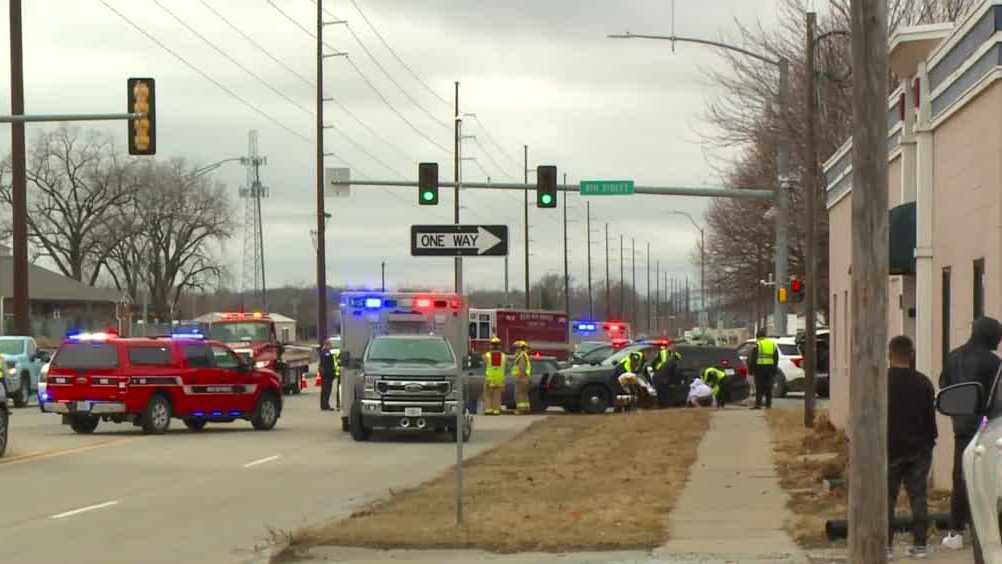 5 dogs found in vehicle after high-speed police chase ends with crash ...