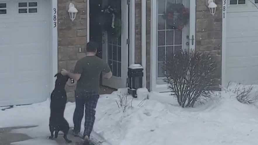 Waukee man caught on video kicking, dragging canine