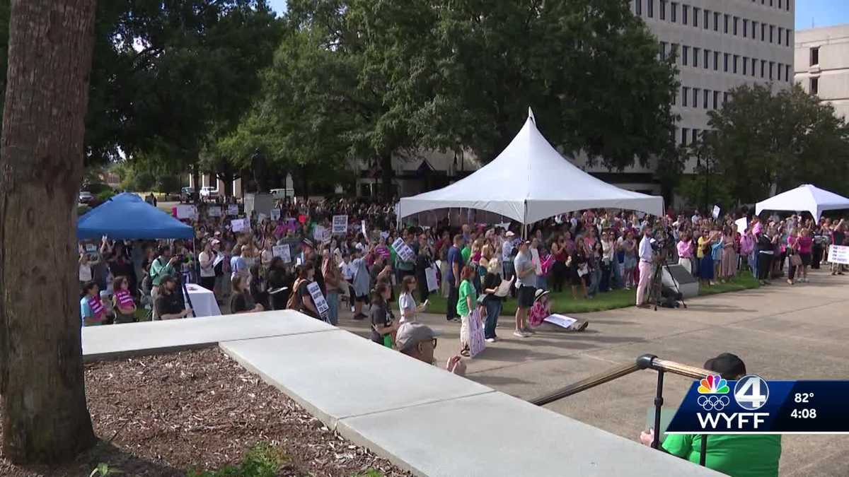 Hundreds gather to protest the Unborn Child Protection Act
