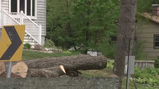 Man dies doing tree work hurt in Nashua, NH - Vimarsana News