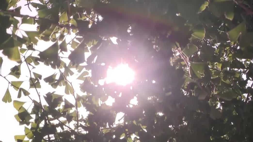 How extreme heat affects mental health and what experts recommend