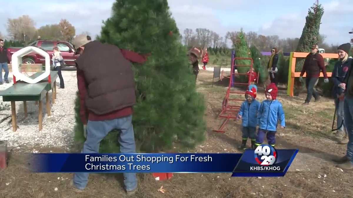 Are artificial or real Christmas trees better?
