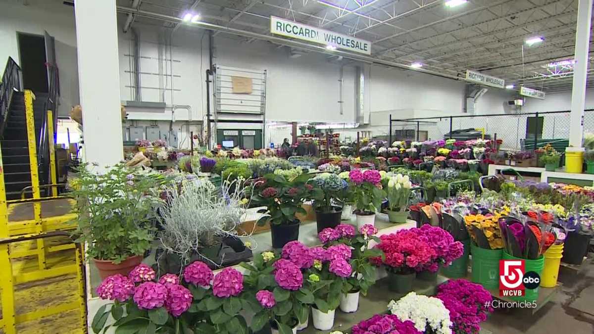 Ever wonder where New England florists get their flowers?